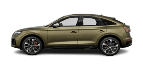 아우디_Q5_2023년형_SQ5 스포트백 가솔린 3.0_SQ5 TFSI_color_ext_side_District Green Metallic.png